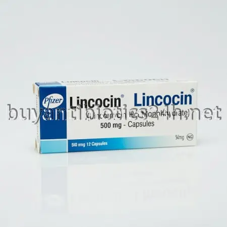 Lincocin Online